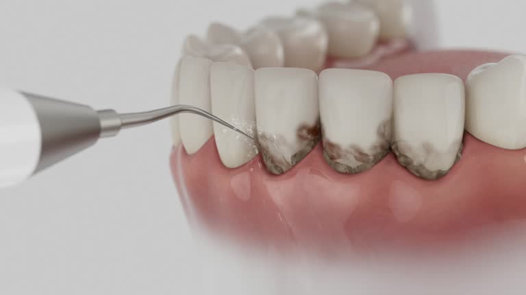 Reliable Dental contractor in Hancock County County, IL by Dentist Open Now